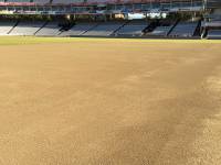 Fineturf Photos