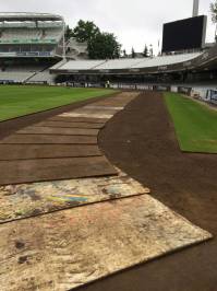 Fineturf Photos