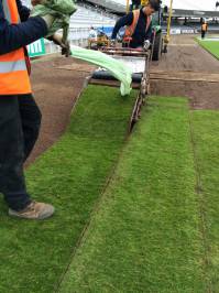 Fineturf Photos