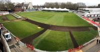 Fineturf Photos