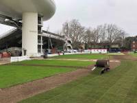 Fineturf Photos