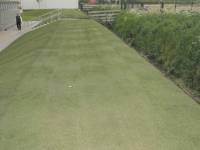 Fineturf Photos