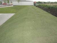 Fineturf Photos