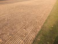 Fineturf Photos