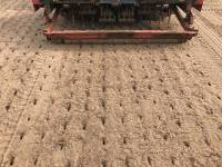 Fineturf Photos