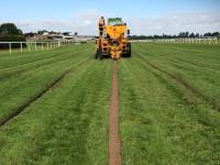 Fineturf Photos