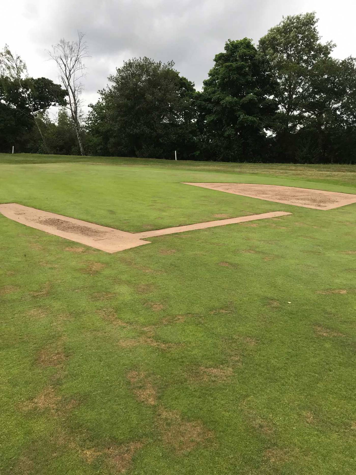 Newark Golf Club Green Repairs