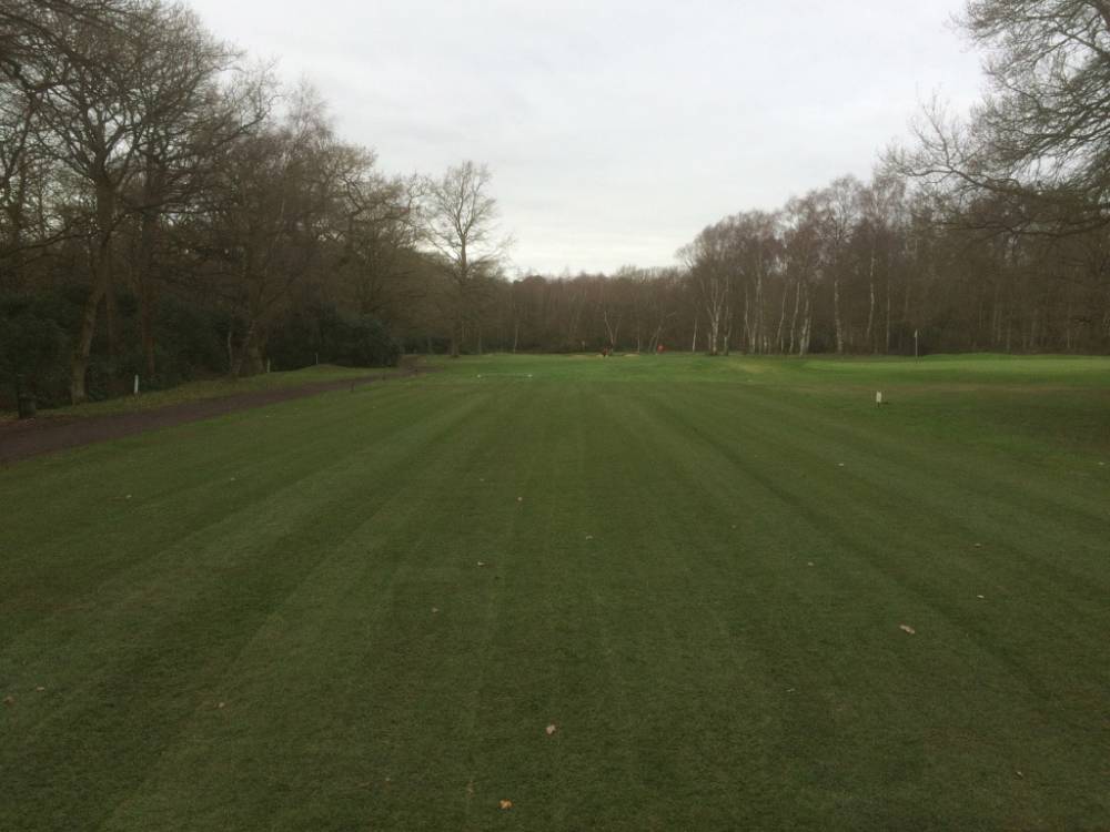 Newark Golf Club Tee Renovation