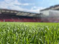 Fineturf Photos