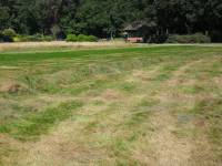Fineturf Photos