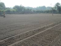 Fineturf Photos