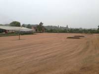Fineturf Photos
