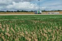Fineturf Photos