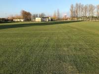 Fineturf Photos