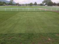 Fineturf Photos