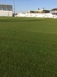 Fineturf Photos