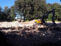 Fineturf Photos