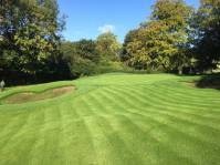 Fineturf Photos