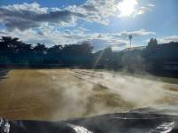 Fineturf Photos