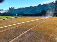 Fineturf Photos