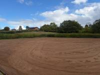 Fineturf Photos