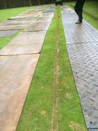 Fineturf Photos